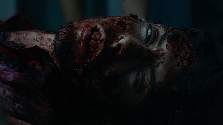 The Night of the Virgin The Night of the Virgin